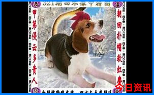栾川避暑胜地有哪些